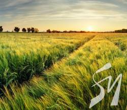 � ����������� ������ �������� ������� �� �������� � ���������  ����� 9����.��� ����